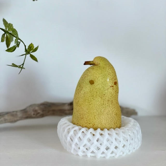 洋梨がペンギンそっくりだった