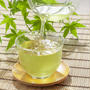 【薬膳の効能】緑茶の効能　顔や目が赤く、暑がりの熱証タイプに。