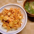 いかエンペラのかき揚げ丼【15年ぶりの再入門】