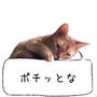 毎週金・土曜日に開くカヌレ屋さん「ル・カナール」と、第2第4金・土曜日に開く焼き菓子屋さん「dans la nature」＠調布市深大寺