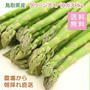 再販！到着画アリ鳥取県産グリーンアスパラガス たっぷり1kg（ハニーミント）