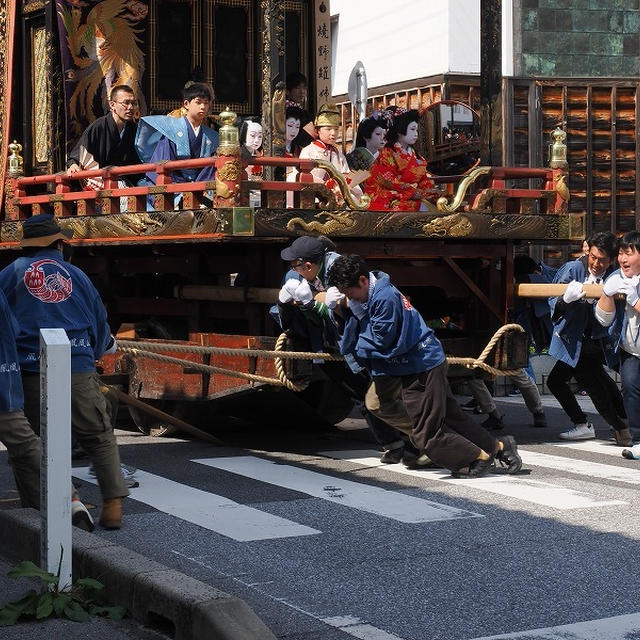 彦根城、海津大崎、長浜・曳山祭り（5）
