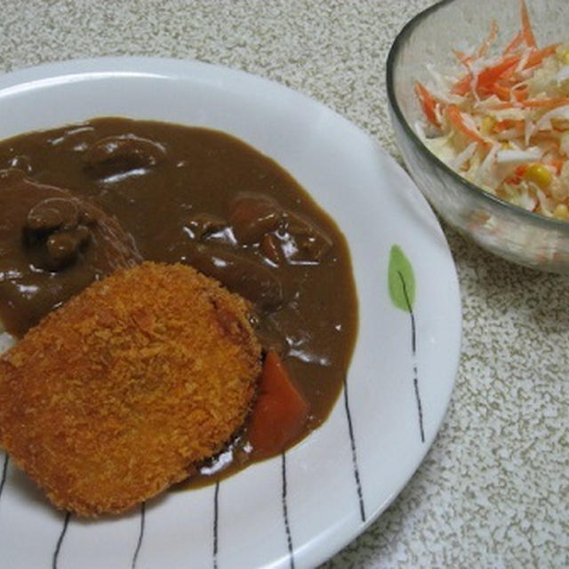 やる気喪失・・・ごめんねカレー