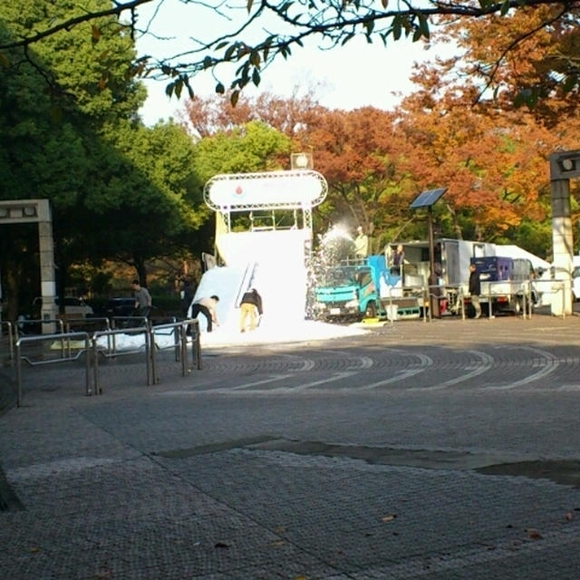 11/13 渋谷表参道ウィメンズラン