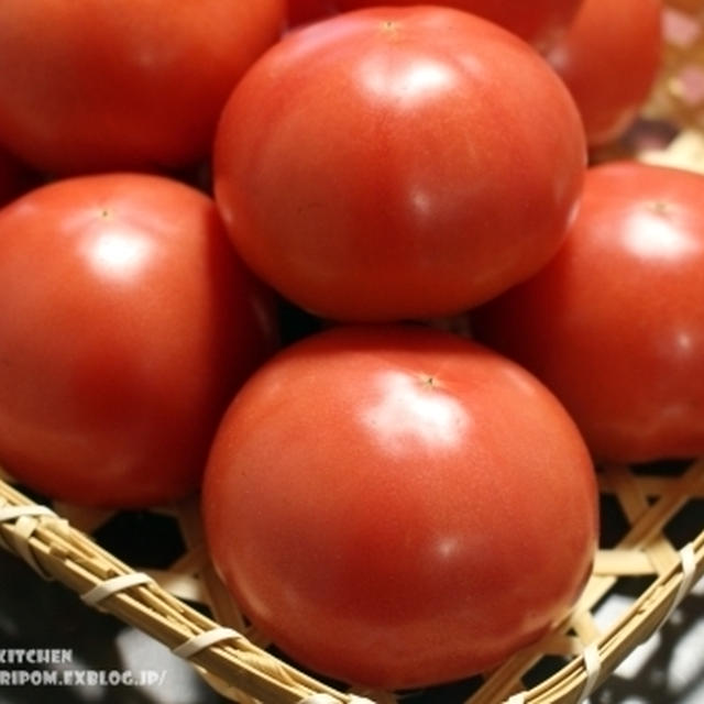 【保存版！静岡産トマトのお話 とトマトの追熟と冷凍保存について。（静岡クッキングアンバサダー）】