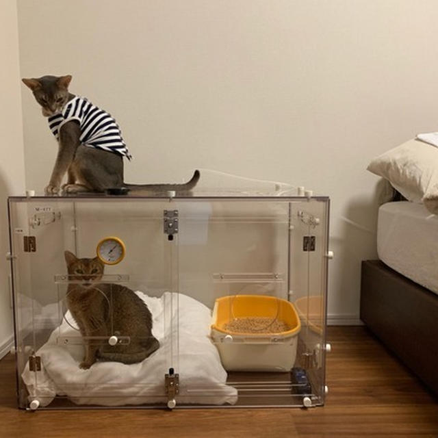 ちび子は、酸素ルームに入りました