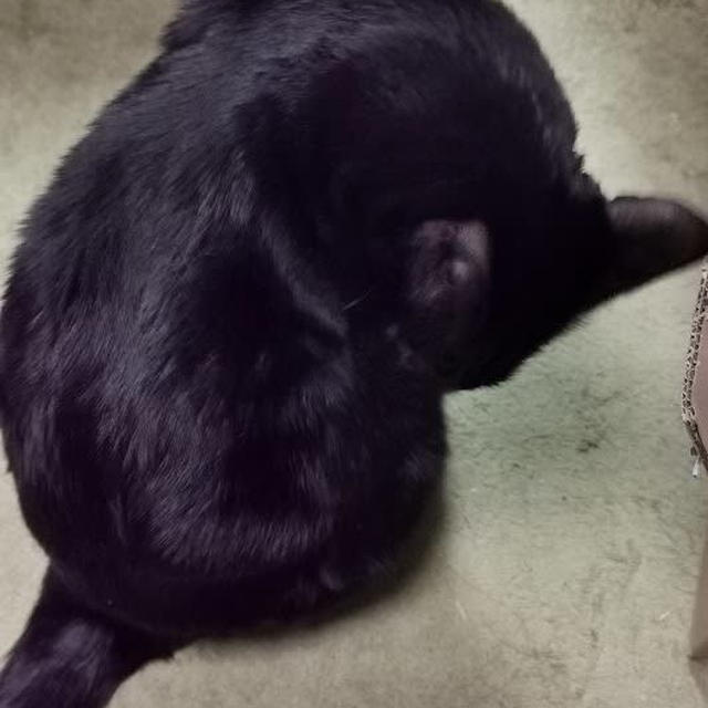 タイミングが悪い？
