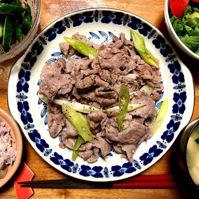 学校見学ですると決めたただ一つの質問＆豚肉と白ねぎの塩炒め