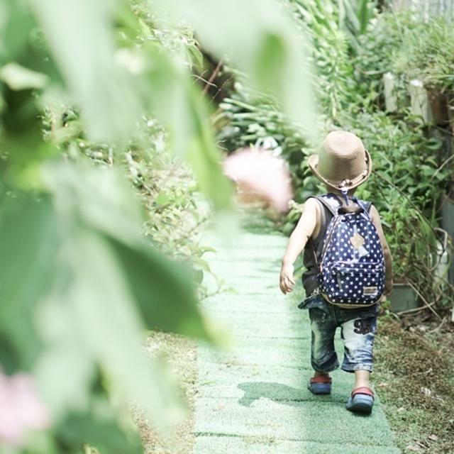 夏風邪