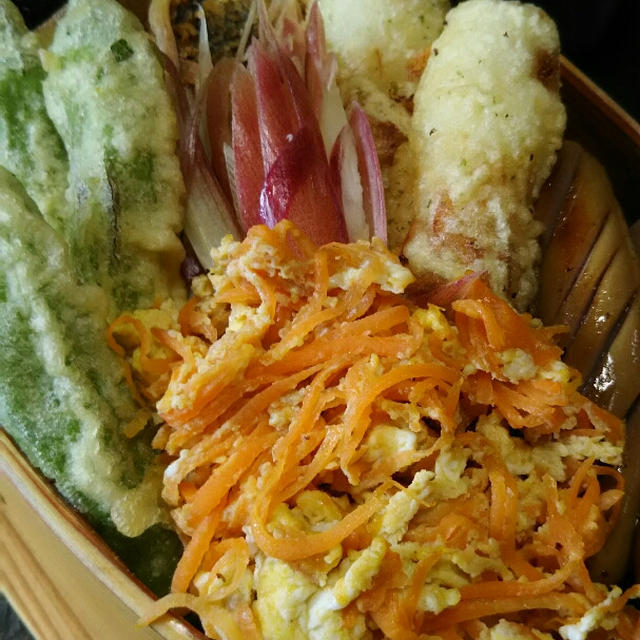 いろいろ揚げ物弁当