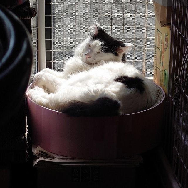 今日は暖かい日でした