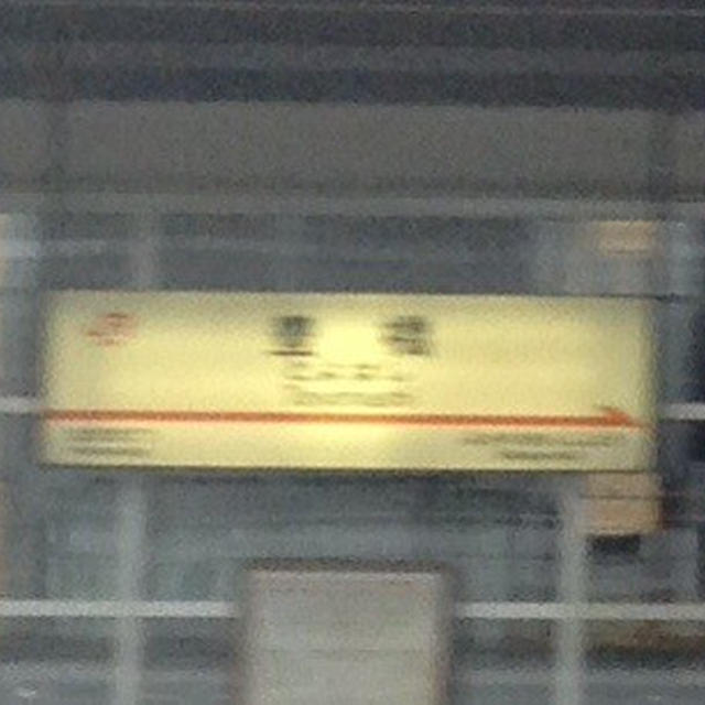 主人と東京旅行