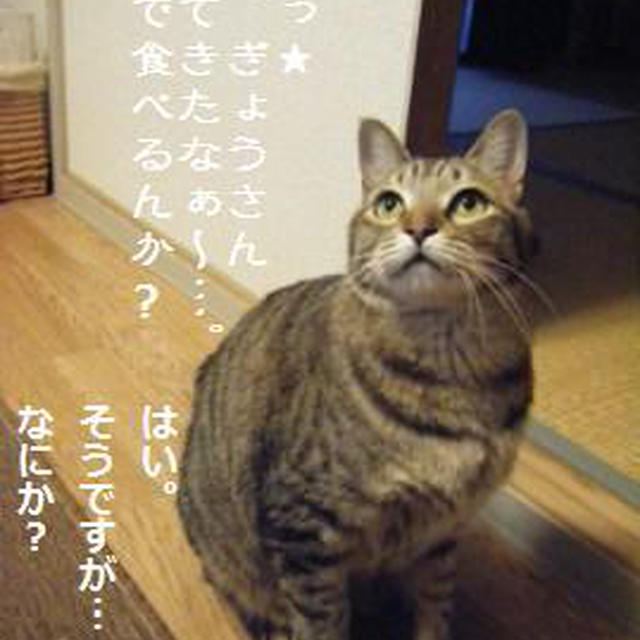 【記録】課税、辞任