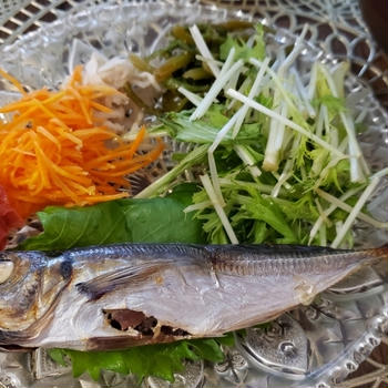 4毒抜き朝ごはん！真あじの干物