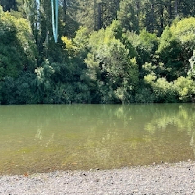 夏のSebastopol＿③＿リバー・ビーチ