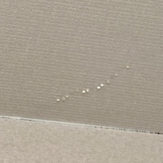 天井からの水漏れと、おかあさんの胃ろうの事