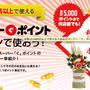 ぐるなびタッチ　ぐるなびスーパー「ぐ」ポイント　今日１月１日から新しいキャンペーンが！