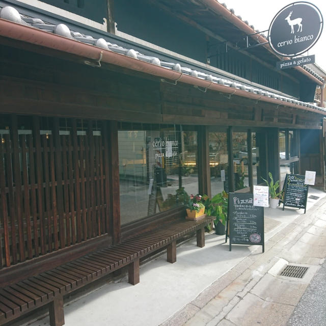 ＊cervo bianco@奈良＊