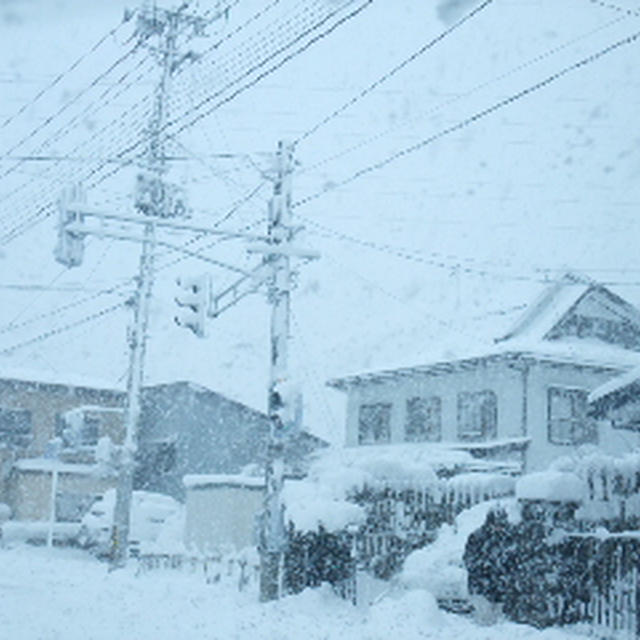 ■大雪(・Д・)■