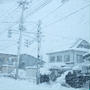 ■大雪(・Д・)■