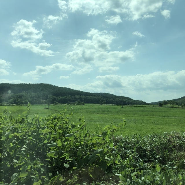 芝桜で有名な北海道滝上町役場にお邪魔させていただき、食育や観光に着いてお話しをさせて頂きました。