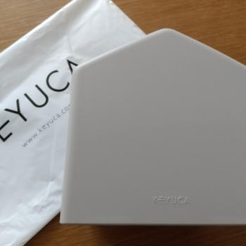 KEYUCA Moi コンパクトティッシュケース ライトグレー