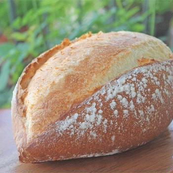 11月のパン