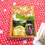 週末しごと【つくおき常備菜】★ 今日のOBENTOは 焼き塩麴サバ