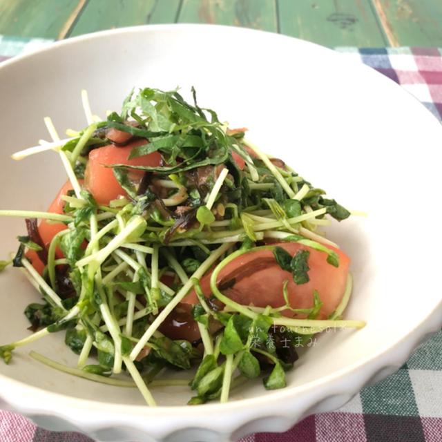 【切って混ぜて完成☆】さっぱりサラダで血行促進！豆苗とトマトの梅しそ昆布サラダ♡レシピ