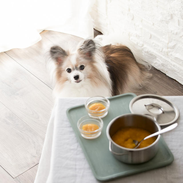 ■冷凍保存OK！かぼちゃだけで作る犬用ポタージュスープのレシピ