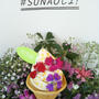 イベント情報☆『FLOWER SOFT STAND(フラワソフトスタンド)』がオープン