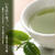 ほっ♪ お茶にしますか。それとも 撮りますか お茶！