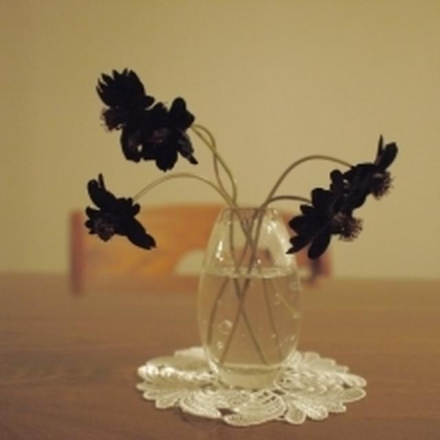 植物ってすごい！