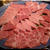 肉食女子忘年会は当然・焼き肉！