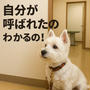 病院で、ゆきちが覚えちゃっていた事。