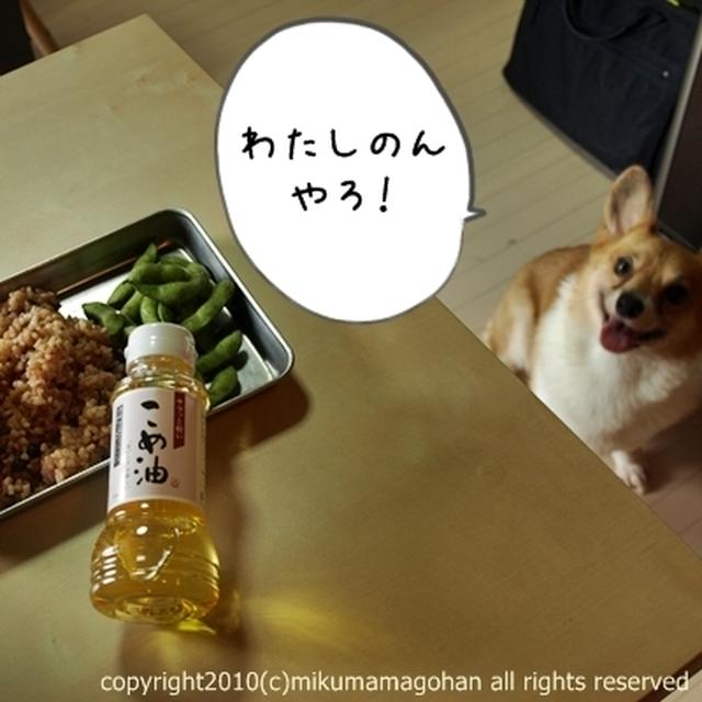 わんちゃん用 犬用 手作り玄米クッキーの作り方レシピ By Mikumamaさん レシピブログ 料理ブログのレシピ満載