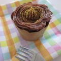 Okara Cocoa Muffins (No starch, no oil)