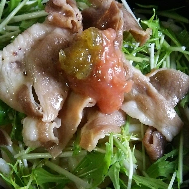 水菜もりもりすすむ！夏の冷やし豚うどん～追いがつおつゆ×梅×ゆず胡椒～