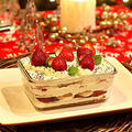 Christmas Scoop Cake