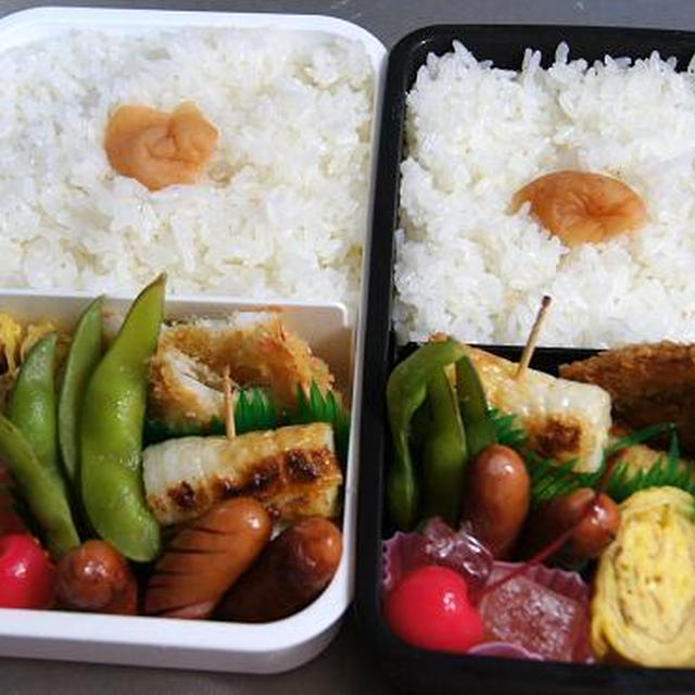 新しいお弁当箱