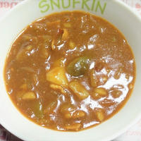 ＜カレー風味の強い夏野菜カレー＞スパイス大使　＜焼き茄子＞レシピ２品