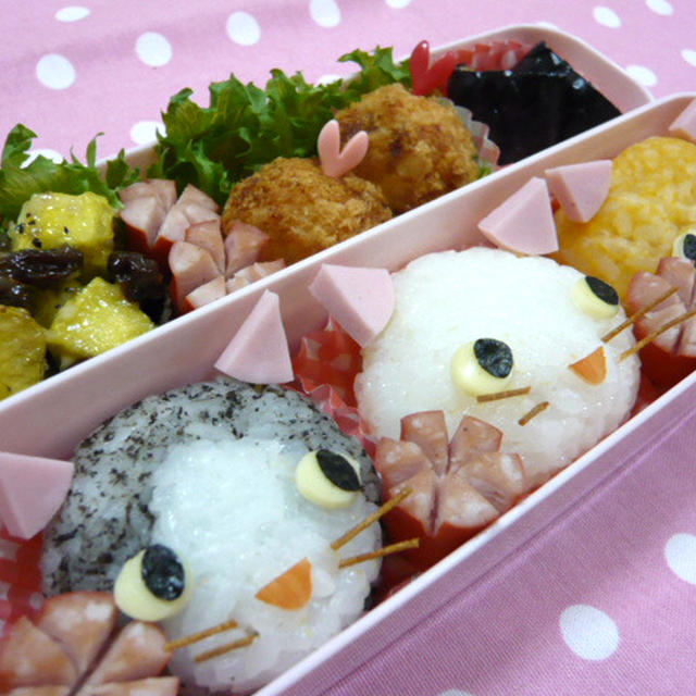 3匹のにゃんこのデコおにぎり弁当☆+゜
