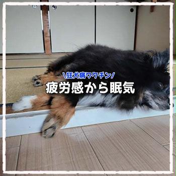 恵みの雨なのかな？