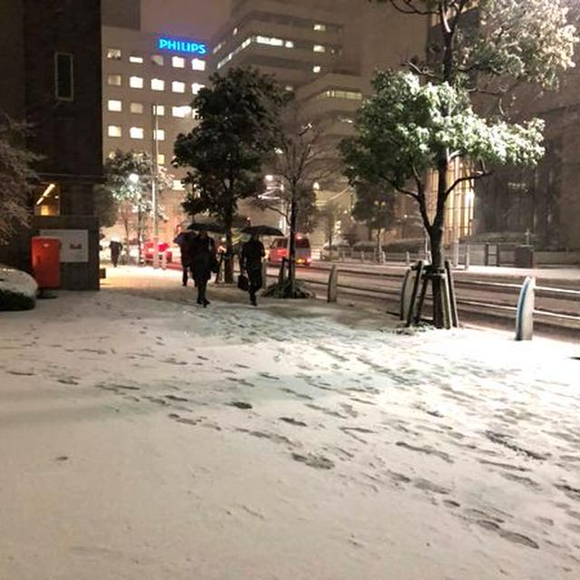 関東は4年ぶりの大雪！北国からみたら小雪なんだけどね～^^