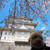 小田原城