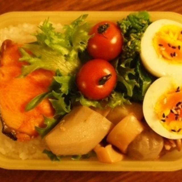 明日の里芋とイカの煮物お弁当