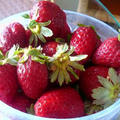 Waimea Strawberry by MOANA LANIさん