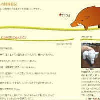 お久しぶりです