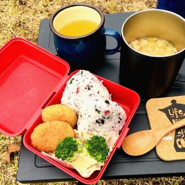 弁当とタサンさんのヨーグルトケーキを持って、公園へ