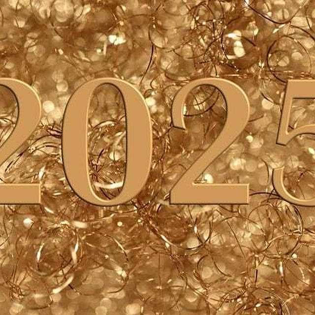 2025年、明けましておめでとうございます。2024年の振り返りと2024年の目標。